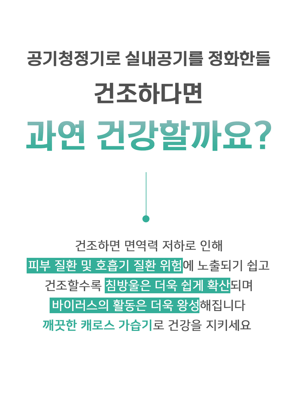 상품 사진